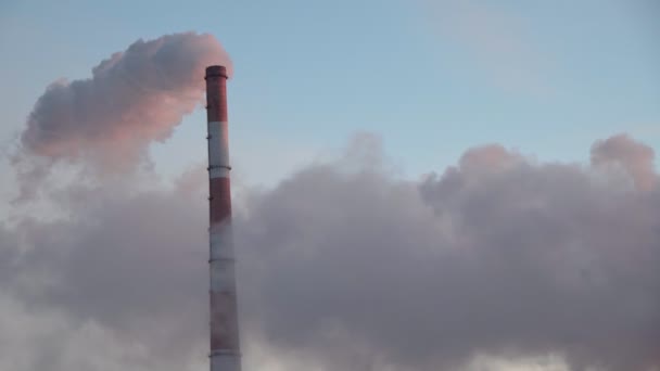 Tubo de fábrica que contamina el aire, humo de las chimeneas. problemas medioambientales, tema ecológico, escena industrial. — Vídeos de Stock