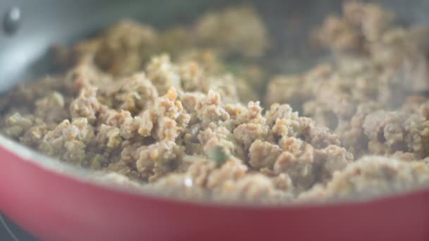 Аппетитная домашняя тушёная еда, молотое мясо с луком, приготовленное внутри сковороды — стоковое видео