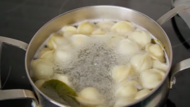 Proces van het koken van zelfgemaakte knoedels. Vleesknoedels in kokend water. Dumplings is traditioneel Russisch eten. Langzame beweging — Stockvideo