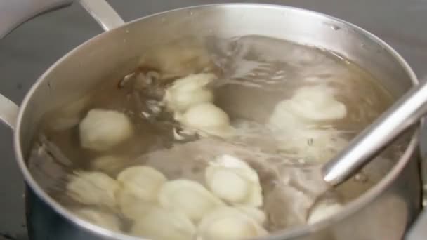 Processus de cuisson des boulettes maison. Boulettes de viande dans l'eau bouillante. Dumplings est la nourriture russe traditionnelle. Mouvement lent — Video