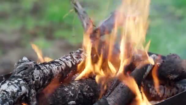 Braseiro com fogo e carvão para cozinhar no fogo. Contexto. Foco seletivo, close-up — Vídeo de Stock