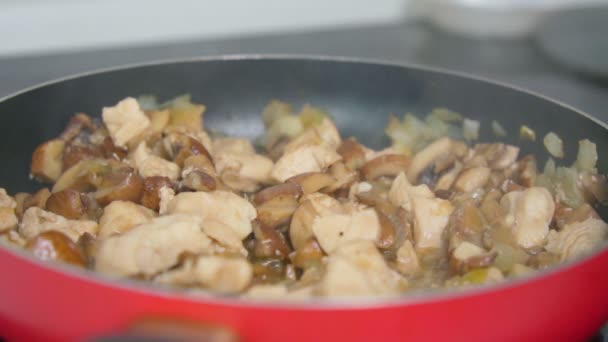 Champiñones caseros guisados con filete de pollo, cocina de cerca en casa. Movimiento lento — Vídeo de stock