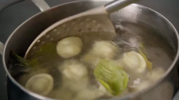 Cocinar albóndigas caseras o ravioles con carne. Concepto culinario. Cocinar las albóndigas en una cacerola, hervir — Vídeos de Stock