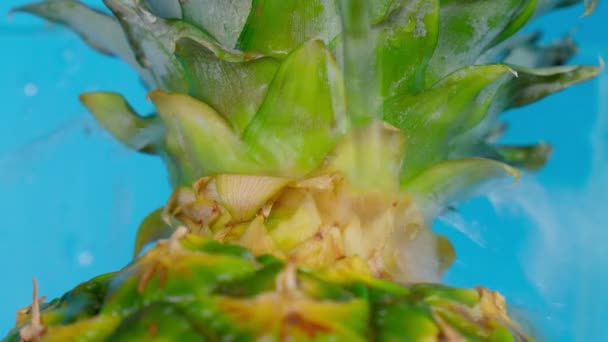 Hintergrund der Ananasschalen-Textur. Exotische Frucht Lebensmittel Hintergrund — Stockvideo