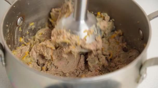 Préparation du pâté de foie de poulet avec un mélangeur en gros plan. Concentration sélective — Video