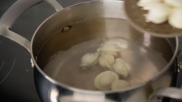 Albóndigas de carne en agua hirviendo. Cocinar albóndigas de cerca. Dumplings es comida tradicional rusa. Enfoque selectivo — Vídeo de stock