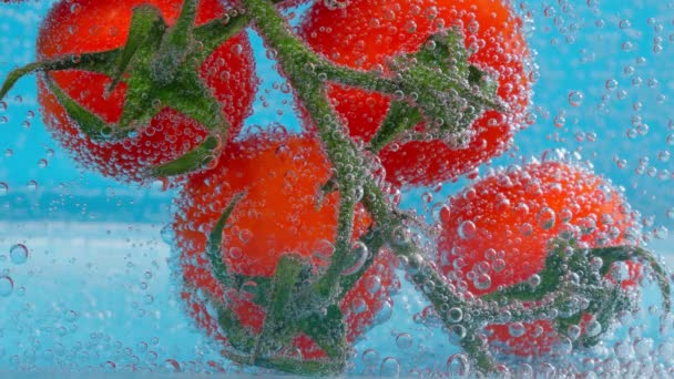 Los tomates hortalizas se acercan en el agua, bajo el agua. Verduras jugosas maduras — Vídeos de Stock