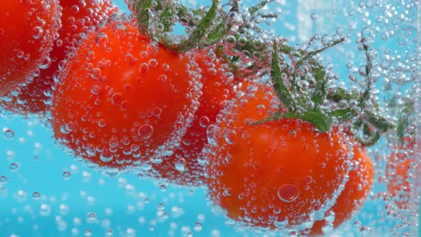 トマトの野菜を水に閉じ込め、水の下で。ジューシーな野菜を熟す — ストック動画