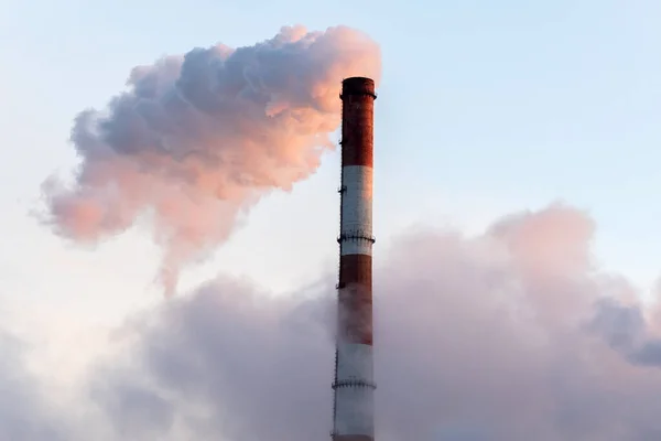 煙の放出と煙のスタック 植物パイプは大気を汚染する 工業工場の汚染 テキストをコピーするためのスペース — ストック写真