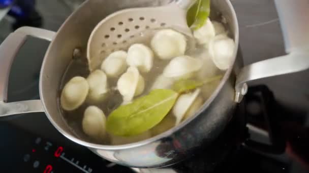 Matlagning hemlagade dumplings eller ravioli med kött. Kulinariskt koncept. Koka dumplings i en kastrull, koka — Stockvideo