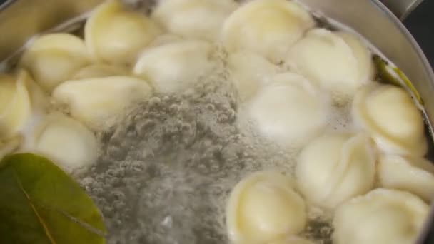Dumplingar i kokande vatten. Traditionella ryska dumplings. Kulinariskt koncept. Koka dumplings i en kastrull, koka. Långsamma rörelser — Stockvideo