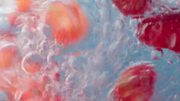 Pomegranate seeds macro. Background of pomegranate berries close-up in water — Stock Video