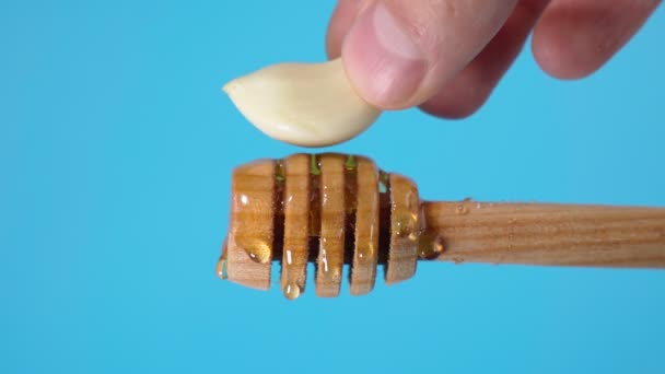 Fermented garlic honey close up on a blue background. Copy Space — Stock Video