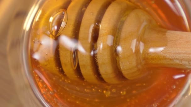 Mel de madeira dipper com mel dourado e bolhas de ar. Extremo de perto, macro — Vídeo de Stock