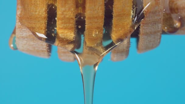 Despejar mel de uma colher de madeira macro close-up. Fundo azul — Vídeo de Stock