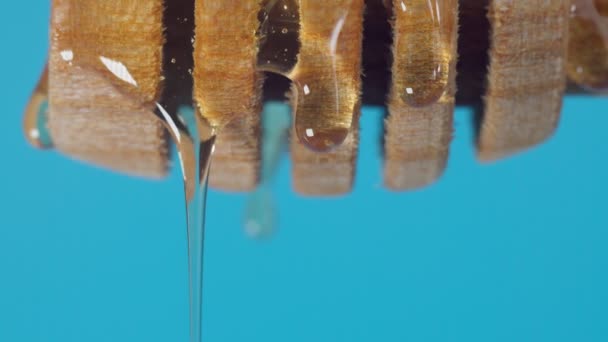 Dripping mel close-up macro de um balde de madeira com espaço de cópia — Vídeo de Stock