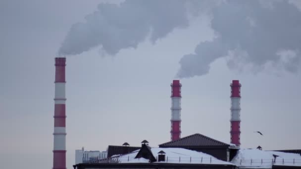 Fabryczne rury elektrociepłownie o gęstym białym dymie z elektrowni cieplnej zanieczyszczającej środowisko. Skupienie selektywne — Wideo stockowe