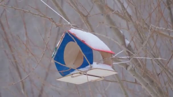 Domek dla ptaków w parku w sezonie zimowym podczas opadów śniegu. Skupienie selektywne — Wideo stockowe