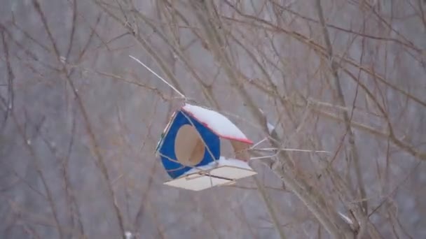 Mão de madeira feita grande casa de pássaros. Pássaro e pequeno alimentador de animais na floresta de inverno — Vídeo de Stock