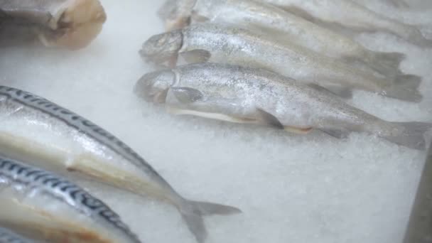 Fresh fish on the shelves of the hypermarket, cooled by cold steam. Selective focus — Stock Video