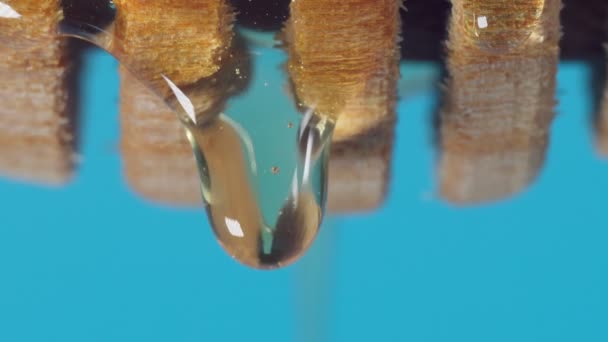 Honey drips close-up macro from a wooden ladle. Healthy eating concept, diet — Stock Video