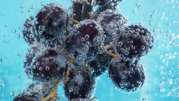 Uvas negras en agua con burbujas de aire se cierran macro. Cóctel jugoso de frutas de verano — Vídeos de Stock