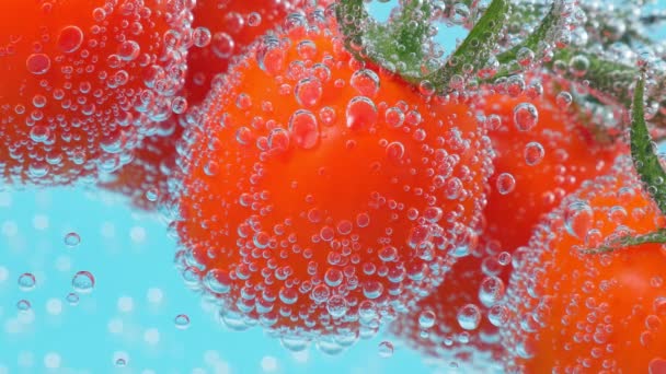 Red tomato close-up under water. Juicy vegetable with a bubble on blue background. — Stock Video