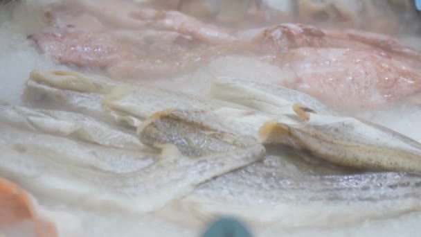 Fisch wird in einem Geschäft verkauft. Köstliche und gesunde Meeresfrüchte, gefroren. Abgekühlter Dampf — Stockvideo