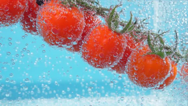 Tomate rojo de cerca bajo el agua. Vegetales jugosos con una burbuja sobre fondo azul. — Vídeos de Stock