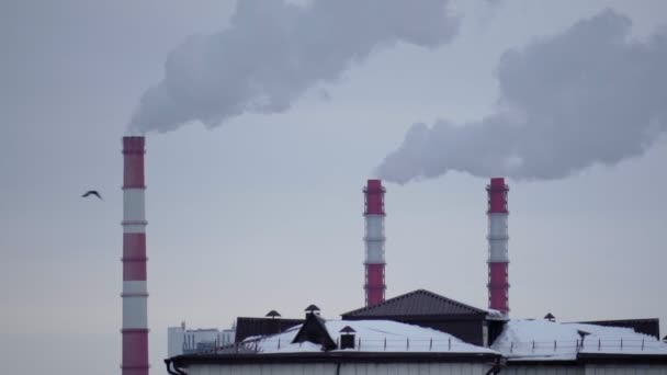 Industriella rökrör stänger av olika typer av värmekraftverk på vintern. Selektivt fokus. Långsamma rörelser — Stockvideo