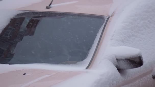 Chat sous la neige pendant les chutes de neige hivernales dans la rue extérieure. Hiver, beaucoup de neige. Voitures sous une neige épaisse. — Video