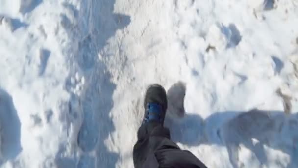 Kış mevsiminde yürüyüş ya da yürüyüş. Kışın açık hava aktiviteleri — Stok video