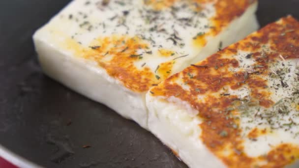 Grilled halloumi cheese with herbs. Cooking at home, selective focus — Stockvideo