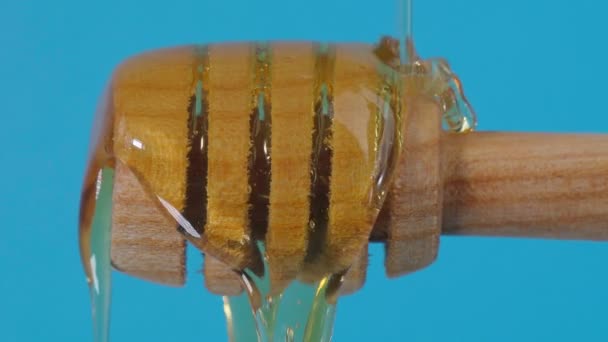 Honung droppar närbild makro från en träslev. Friska kost koncept, kost — Stockvideo