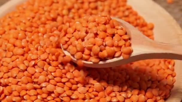 Orangefarbene Linsen aus nächster Nähe. Richtige Ernährung, Anbau einer Feldfrucht, Ernährungskonzept. — Stockvideo
