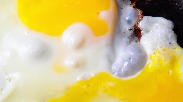 Cooking eggs for breakfast, standing at the kitchen at home. Close up, selective focus — Video Stock