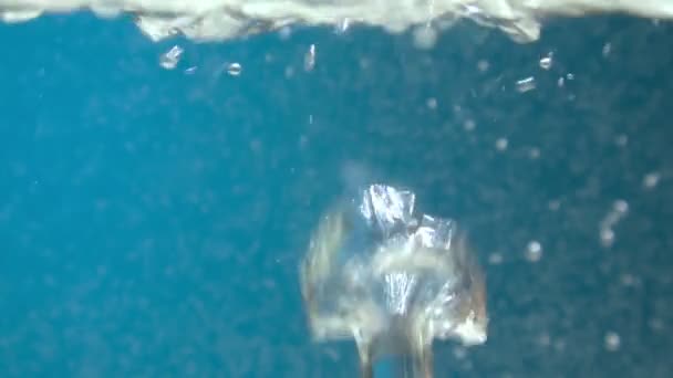 Underwater air bubbles flow in the water, sea, aquarium. Carbonated pop. Champagne. Fizzy drinks. Selective focus. Slow motion — ストック動画