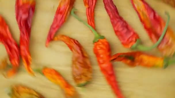 Getrocknetes Rotes Chilli Lebensmittelzutat Für Die Herstellung Von Chilipulver Das — Stockvideo