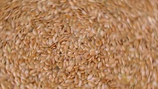 Flax Seed Culinary Background Close Linseeds Vegan Vegetarian Cuisine Selective — Αρχείο Βίντεο