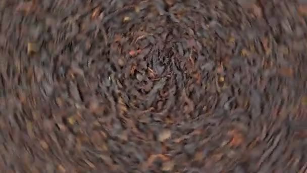 Dry Black Tea Leaves Close Dark Background Food Drink Cooking — Vídeo de Stock