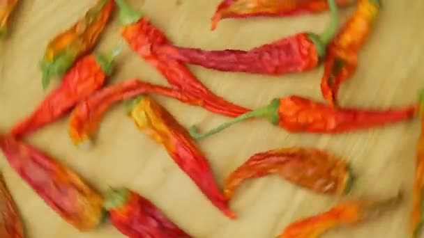 Červené Sušené Chilli Papričky Otáčejí Zblízka Selektivní Zaměření — Stock video
