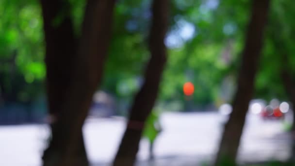 Defocused Abstract Background Green Park Day Summer Roads Sky Cars — стоковое видео