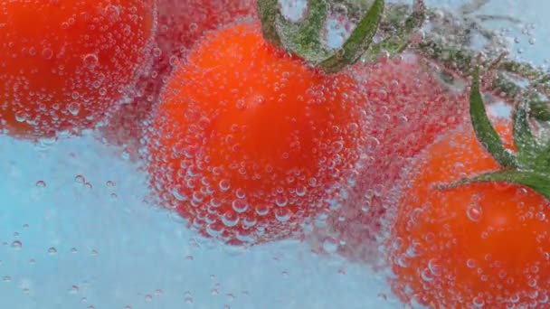 Tomat Merah Macro Close Bawah Air Sayuran Segar Dengan Gelembung — Stok Video