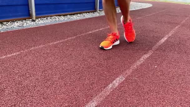 Tyumen Russia August 2022 New Adidas Running Shoes Orange Coral — Stock video