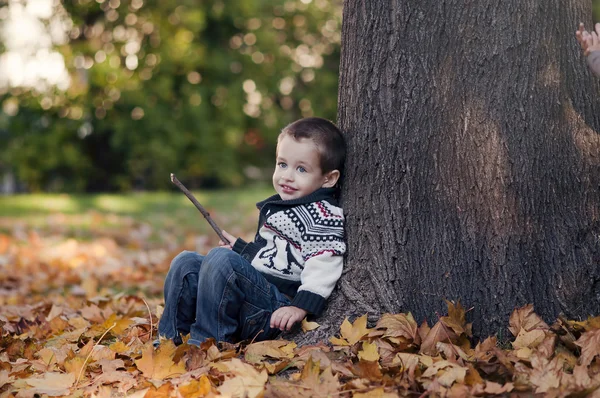 3 lat dziecko siedzi na złoty liść — Zdjęcie stockowe