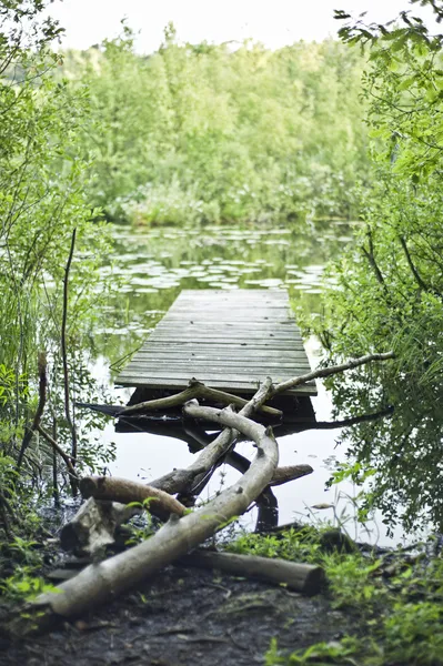 Viejo puente de pesca en el lago — Foto de Stock
