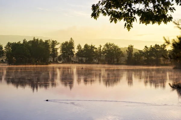 Salida del sol sobre el lago con el reflejo de árboles desnudos en el agua . — Foto de Stock