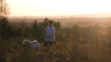 Ceketli ve başında kep olan bir genç kız tarlada üç köpekle yürüyor, köpeklerden ikisi tasmalı tutuluyor. Gün batımından önce, gökyüzü turuncu güneş ışığıyla doludur, ağır çekim.