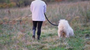 Ceketli ve başında kep olan bir genç kız tarlada üç köpekle yürüyor, köpeklerden ikisi tasmalı tutuluyor. Gün batımından önce, gökyüzü turuncu güneş ışığıyla doludur, ağır çekim.