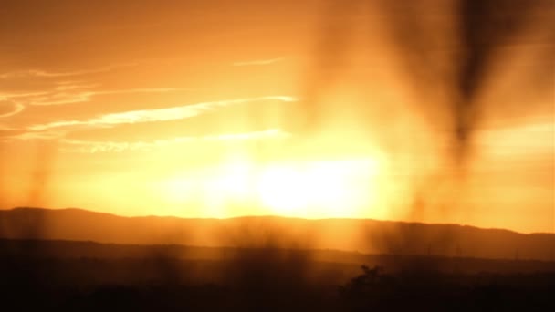 夕阳西下 火红的色彩映衬在群山的背景上 在前景中可以看到云杉青草的顶部 太阳几乎落在地平线上 — 图库视频影像
